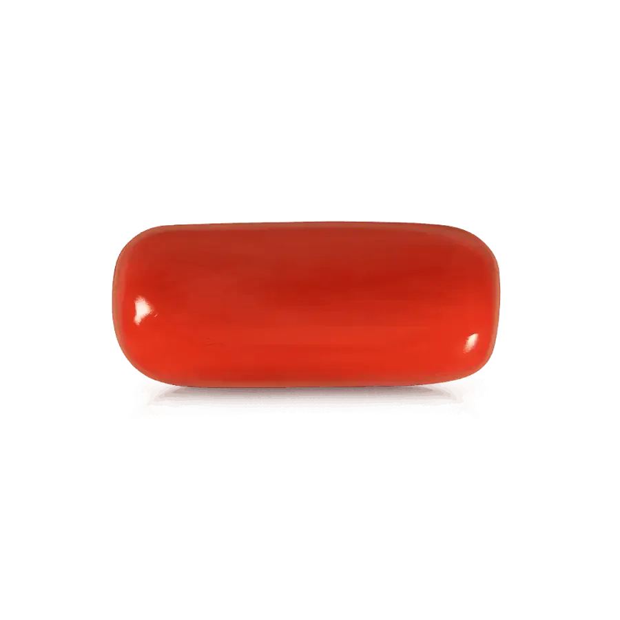 Red Coral (Moonga)