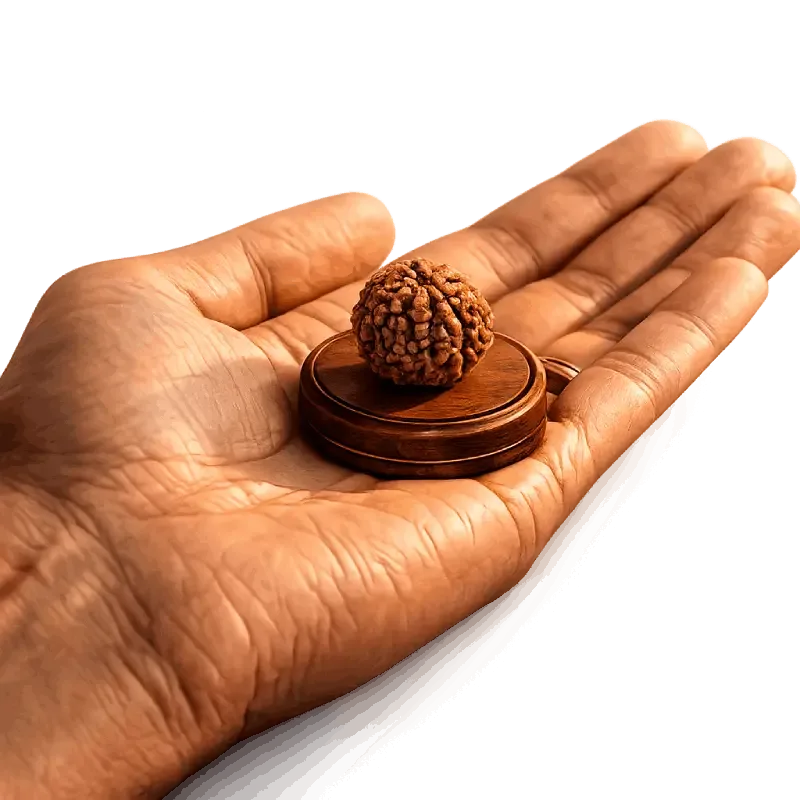 rudraksha_recommendation