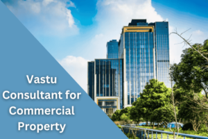 Vastu Consultant for Commercial Property